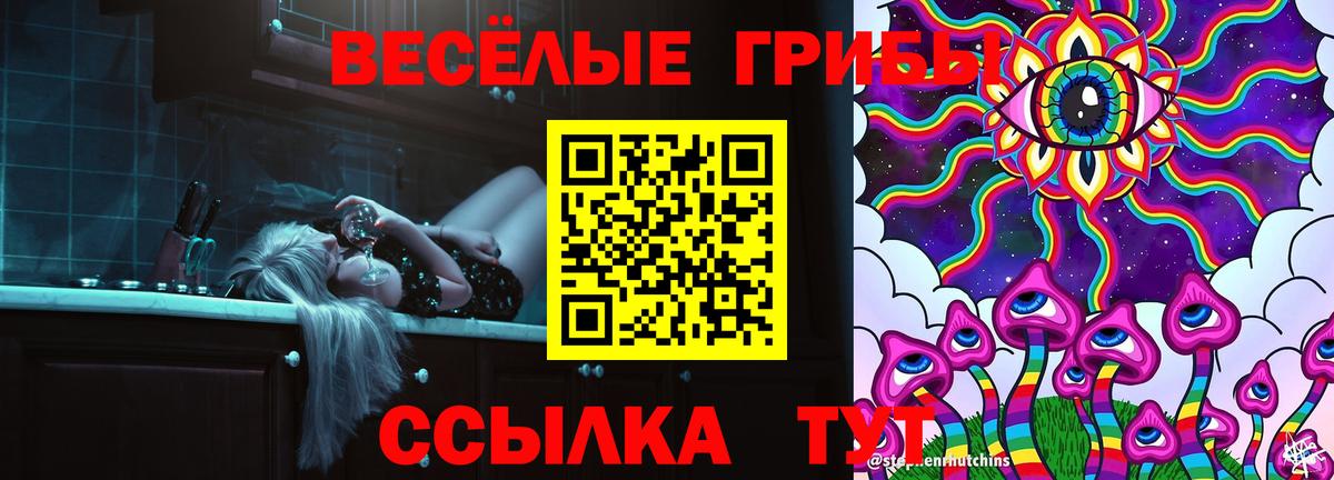 Галлюциногенные грибы мухоморы Димитровград